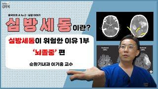 심방세동이 무서운 이유 1부│뇌졸중