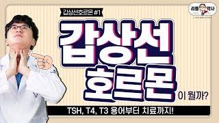 [1편]갑상선호르몬, 항체의 모든 것! 용어부터 치료까지 완벽 정리!! TSH, T3 T4, fT3, fT4