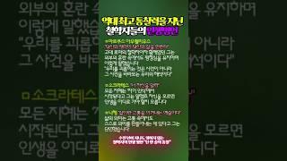 역대 최고 통찰력을 지닌 철학자들의 인생명언 #통찰력 #지혜를담은 #shorts
