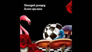 Анимация