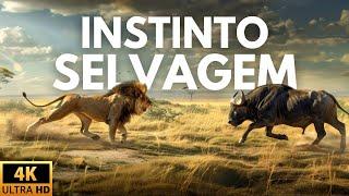 SERENGETI - O CORAÇÃO INDOMÁVEL DA SAVANA | Documentário Completo