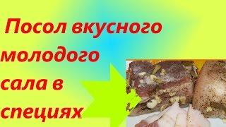 520. Посол вкусного молодого сала в специях. Видео рецепт. Амурка онлайн