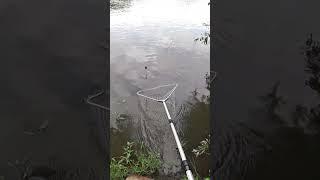 клюнул того кого не ждали #рыбалка #рыбалкавидео #fishing #рыбалка #рыбалкавидео #летняярыбалка