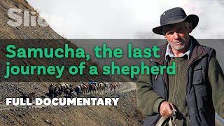 Samucha, the last journey a shepherd | SLICE | Full documentary