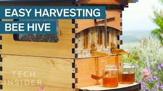 Crowdfunded Beehive Provides Honey On Tap