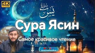 СУРА ЯСИН – ПОЛНАЯ ВЕРСИЯ | КРАСИВЫЙ ГОЛОС | КОРАН НА РУССКОМ Языке @PrayofIslam-pe1jn