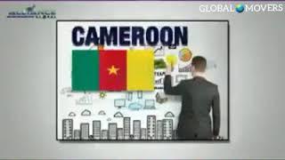 Opportunity Plan Presentation (Cameroon Presentation) | The Millennial Entrepreneur