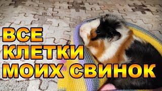 КАК ЭТО БЫЛО. КЛЕТКИ, СТЕЛЛАЖИ И ВОЛЬЕРЫ МОИХ МОРСКИХ СВИНОК.