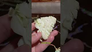 Хряпка капусты: вкусно и полезно, несмотря на нитраты!