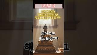 "단 30초 만에 불안 사라짐?!" 부처님이 알려준 두려움 해소법 (지금 바로 해보세요!) #명상의힘#30초불안해소 #부처님지혜 #명상의힘 #호흡명상효과 #마음의평화
