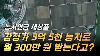 농지연금의 새상품! 3억 5천으로 월 300만? 농지이양은퇴직불! 농지연금 상품 뽀개기!