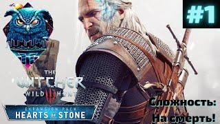 THE WITCHER 3 HEARTS OF STONE Прохождение на Русском | ВЕДЬМАК 3 КАМЕННЫЕ СЕРДЦА | СТРИМ #1