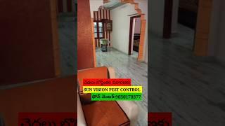 #home #construction #cockrochcontrol #ratcontrol #pestcontrol #homepestcontrol #sunvisionpestcontrol