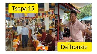 Tsepa 15 celebration in Dalhousie #tibetanvlogger #tsepa15 #tibetan #tibetanmarket #dalhousiediaries