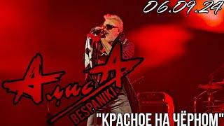 06.09.24 - АлисА - "Красное на чёрном" - KkinchevFest