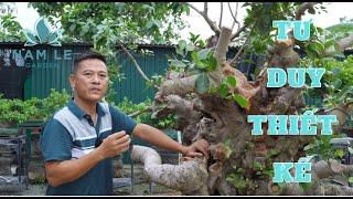 NamLe Bonsai | Chỉnh sửa và định hình lại cốt si rất to nhiều đầu cho em '' Luân '' TP Quy Nhơn