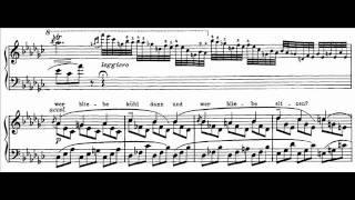 Hamelin plays Chopin/Liszt - Chant Polonais No. 5 'Meine Freuden' Audio + Sheet music