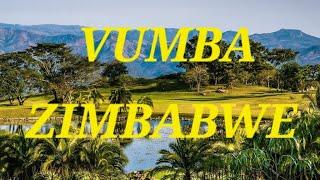 LETS EXPLORE SCENIC VUMBA. VISIT THE WATERFALL & VUMBA BOTANICAL GARDEN. ️