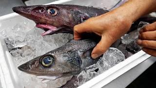 Japanese Food - ALIEN DEEP SEA FISH SASHIMI Shizuoka Seafood Japan