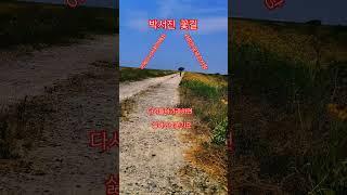 #박서진꽃길#싫어요난못가요#아름다운꽃길#