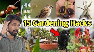 Top 15 Gardening Hacks you must know, DIY Home garden ideas (part-2)