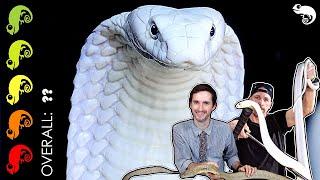 King Cobra, The Best Pet Snake? The Most DANGEROUS Day Of My Life!