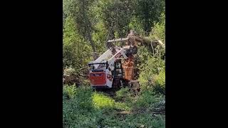 Bobcat T86 With Shearex Mulching Head Demo