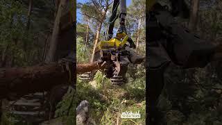 “Epic Machinery:Harvester Taking Over The Timber” #forest #johndeere #harvester #wood #lumberjack