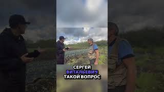 Сколько заработать на овощеводстве в Казахстане  #бизнес #теплица #фермер #ферма  #фермерство