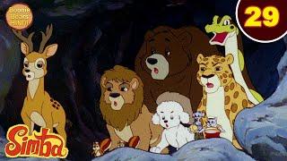 Simba The King Lion Episode 29 | सिंबा के दोस्त | Animated Cartoon 2024 | Boonie Bears Hindi