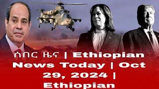 ሰበር ዜና | Ethiopian News Today | Oct 29. 2024 | Ethiopian