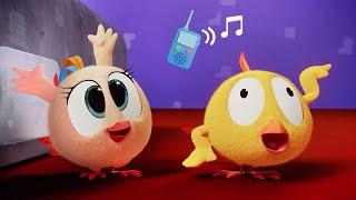 (NOVO) Onde está Chicky? 4 | Walkie-Talkie | Coleção desenhos animados Infantil | Novos episódios HD