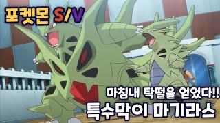 [포켓몬스터 스칼렛/바이올렛] 날씨팟 다 조지는 특수막이 마기라스