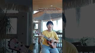 우쿨렐레로 seven #정국 #jungkook #seven #ukulele #cover #koaloha #ウクレレ#우쿨렐레 #코알로하 #제주우쿨렐레 #살구클래스