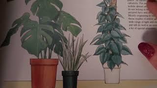 Old School ASMR - Soft Spoken Flipping Through a Book About Plants - Lofi - Blah Blah Blah