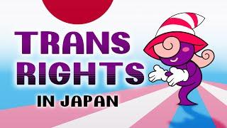 The Evolution of Vivian in Paper Mario, and Trans Rights in Japan