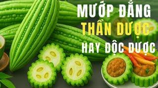 ĐỪNG ĂN Mướp Đắng Nếu Chưa Biết Điều Này! Thần Dược Hay Độc Dược Cho Người Già