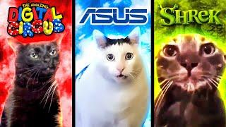 Meme Cats: Different Universes