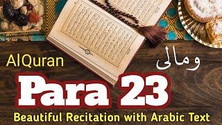 Para 23 Full by Yahiya Hawwa (HD) with Arabic Text || Juz 23 ki Tilawat || Quran OTP