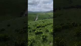 Кабардинская порода лошадей,перегон на летние пастбища,в горы
