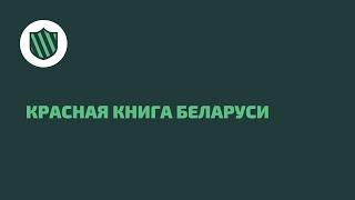 Красная книга Беларуси | 12+