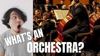 What is an Orchestra?