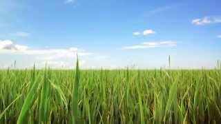 Protecting Iowa's Natural Resources