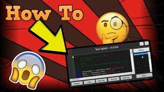 How To Make A Roblox Exploit / Script Executor | EASY TUTORIAL | LUA | *AUGUST - 23 - 2020*