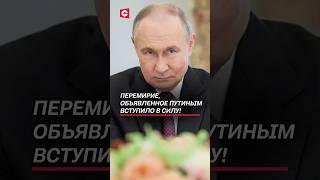 Перемирие, объявленное Путиным вступило в силу! #путин #война #украина #сво #новости #россия