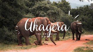 Discover Rwanda's Best Kept Secret: Akagera Safari Uncovered!