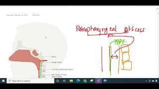 retropharyngeal space and abscess || ENT