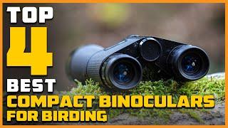 Best Compact Binoculars for Birding in 2024 - Top 4 Review