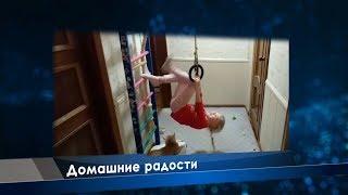 Домашние радости