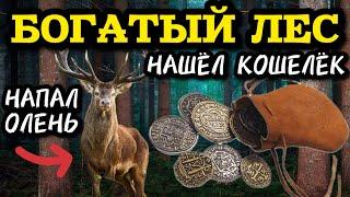 КОПАТЬ В ЭТОМ ЛЕСУ МЕЧТА ЛЮБОГО КЛАДОИСКАТЕЛЯ!! НАШЁЛ ПОТЕРЯННЫЙ КОШЕЛЁК С КУЧЕЙ СЕРЕБРА!! КОП 2024